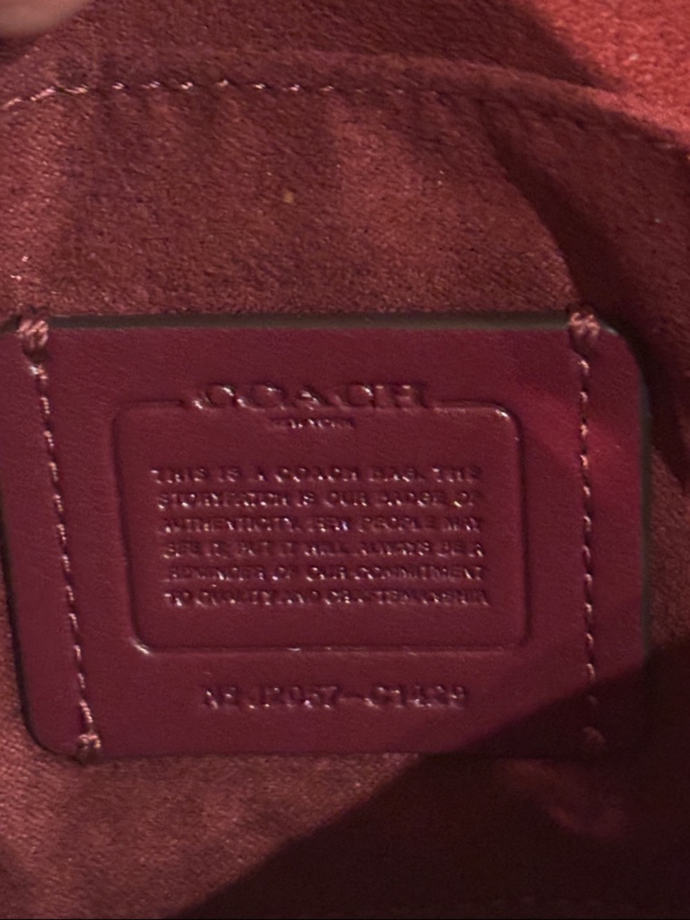 Coach Saddle Bag with Diagonal Stripe C1429 EUC - Picture 2 of 7